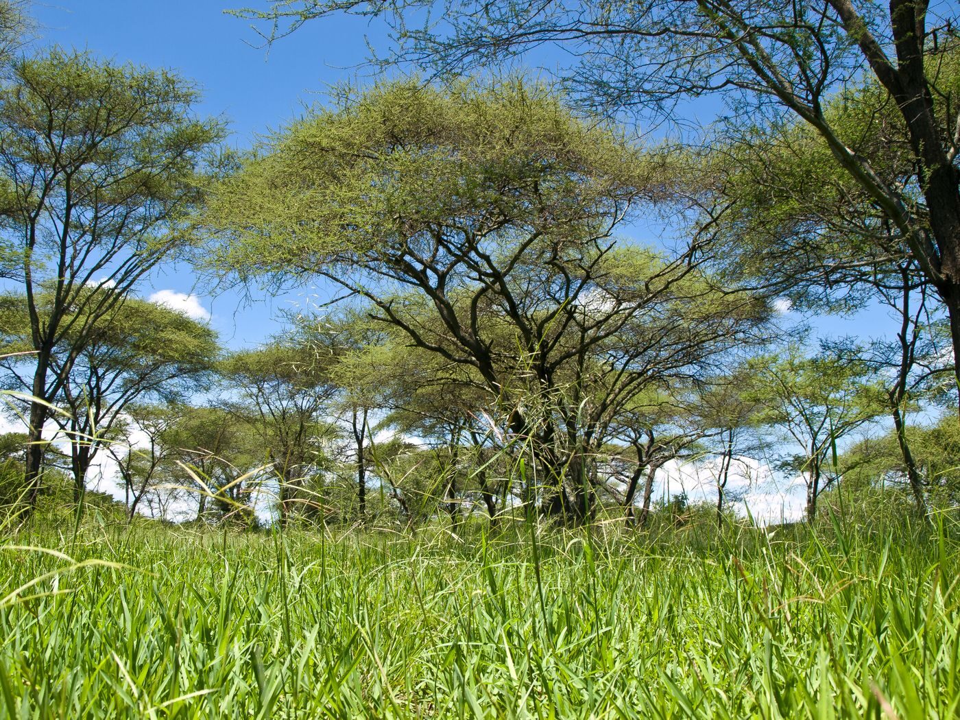 Land, agriculture and the natural environment.