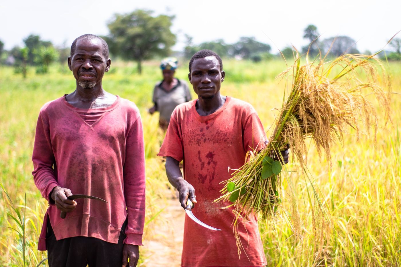Agriculture & Agribusiness