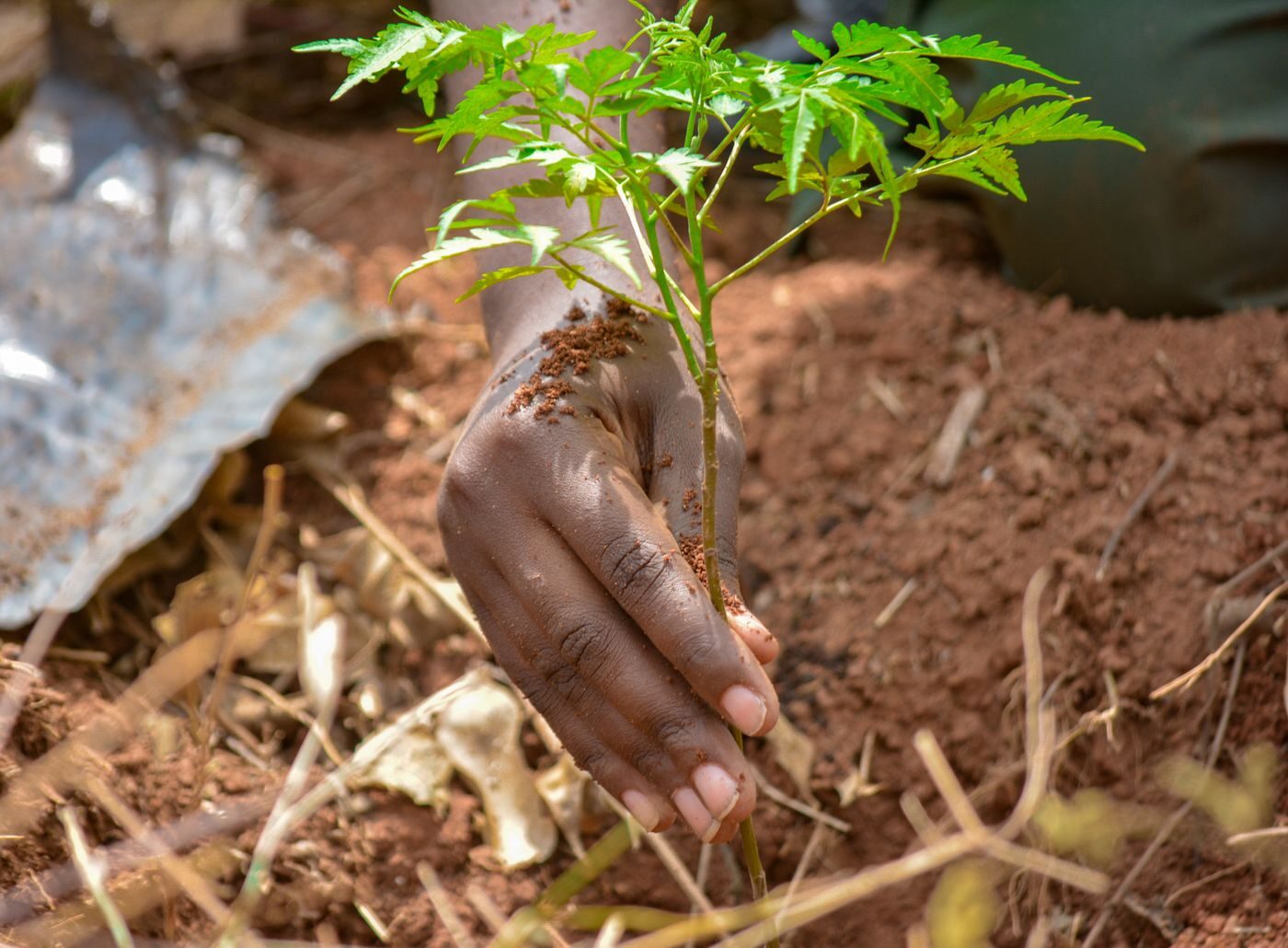 Green & Environmental Solutions
